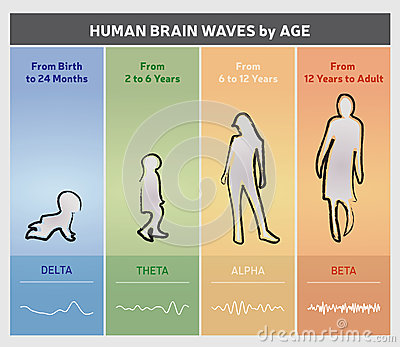 dominant brain waves by age