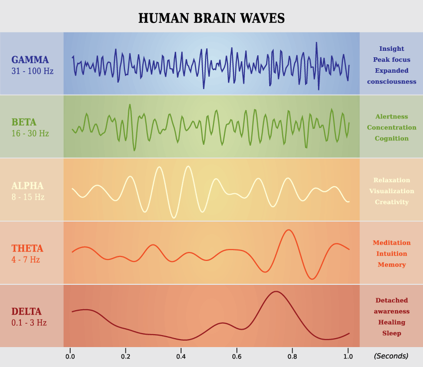 brainwaves