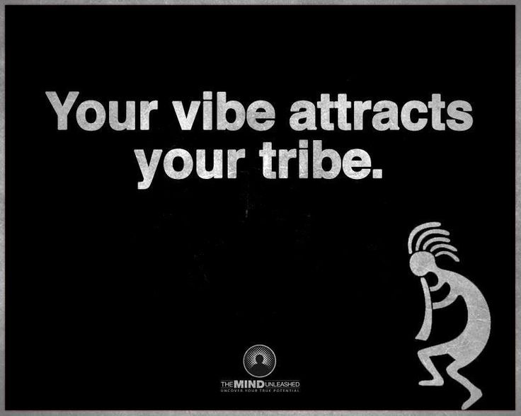 your vibe attracts your tribe
